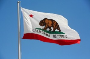 california-flag-bear