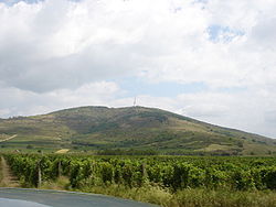 Kopasz-hegy