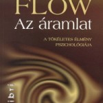 flow könyv