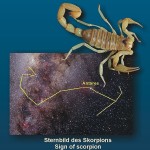 skorpió csillagkép