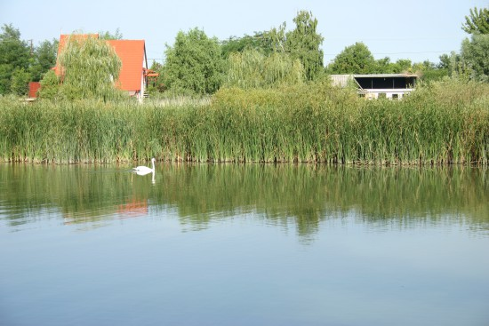 Kis-Duna természetvédelmi terület