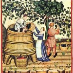 wine-szőlőfeldolgozás