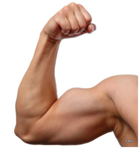bicepsz növelése