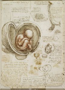 Embrio