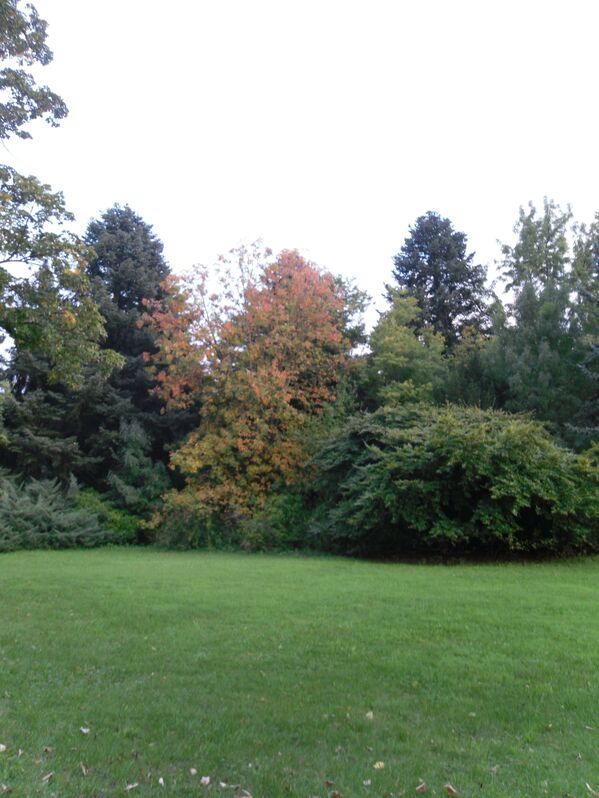 Szarvasi Arborétum ősszel